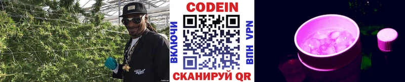 Купить где  Камень-на-Оби  Codein Purple Drank 