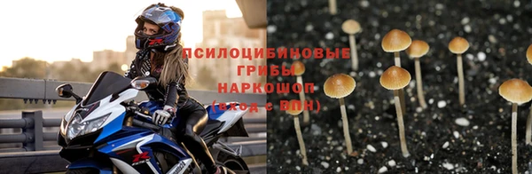 каннабис Аркадак
