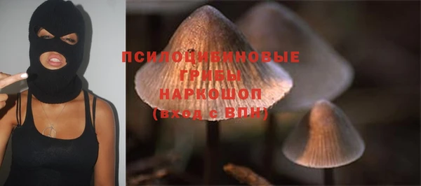 эйфоретик Алексеевка
