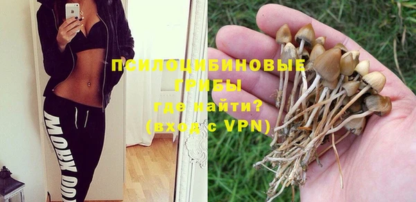 прущая мука Армянск