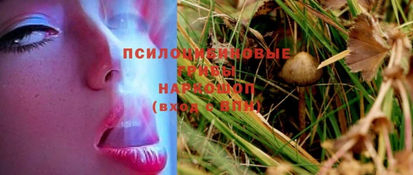 каннабис Аркадак